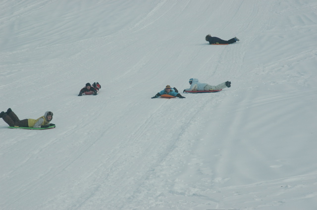 DSC_5544.JPG