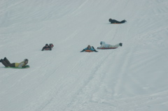 DSC_5544.JPG