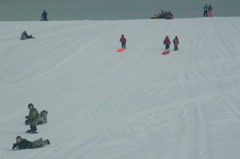 DSC_5584.JPG