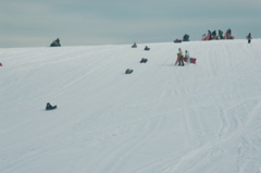 DSC_5622.JPG