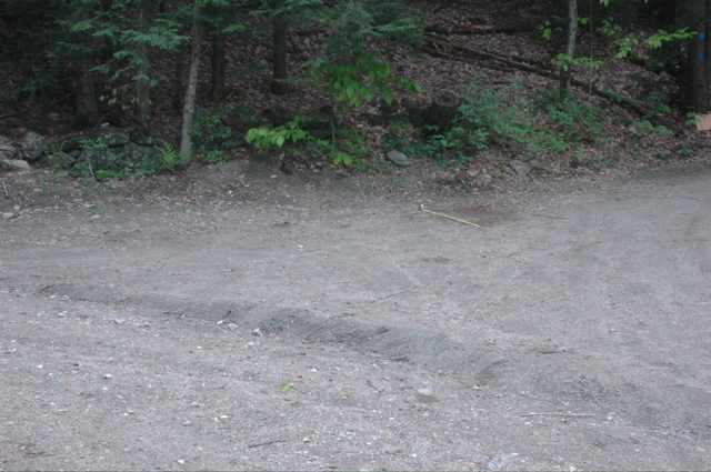 DSC_4469.JPG