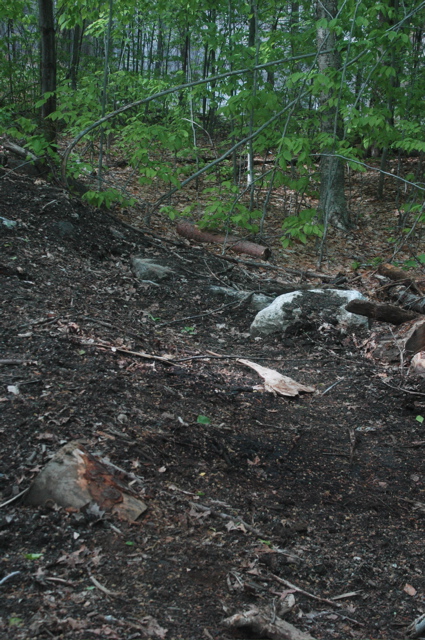 DSC_4491.JPG
