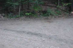 DSC_4469.JPG