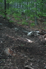 DSC_4491.JPG