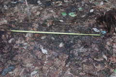 DSC_4476.JPG