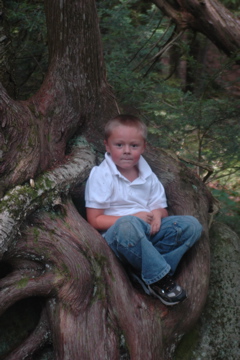 DSC_2421.JPG