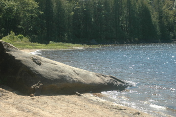 DSC_2334.JPG
