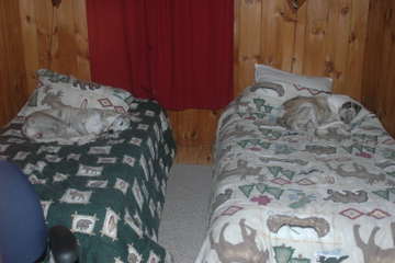 DSC_2358.JPG