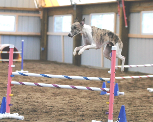 WyattJump