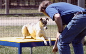 WyattSit