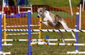 WyattJump2