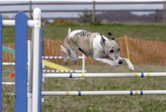 WyattJump