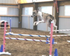 WyattJump