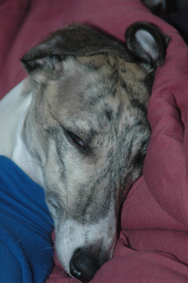 DSC_1218.JPG