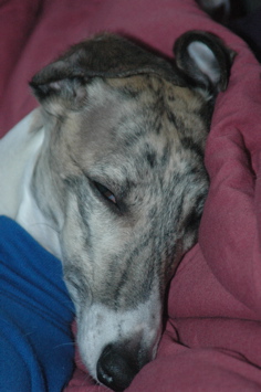 DSC_1218.JPG
