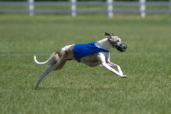 Wyatt07